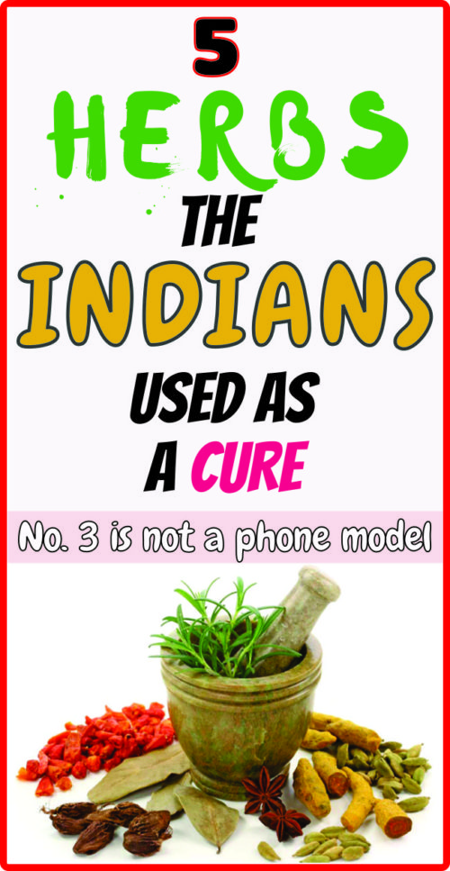 5 HERBS THE INDIANS USED AS A NATURAL CURE