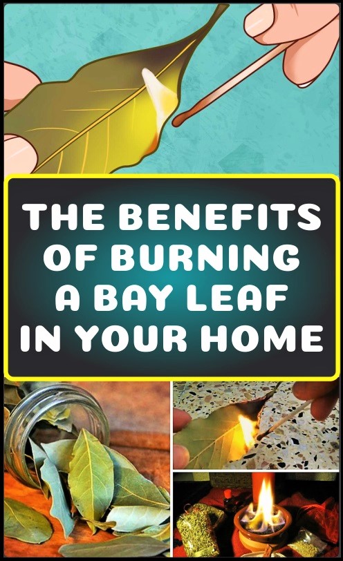 this-is-why-you-should-burn-a-bay-leaf-in-your-home