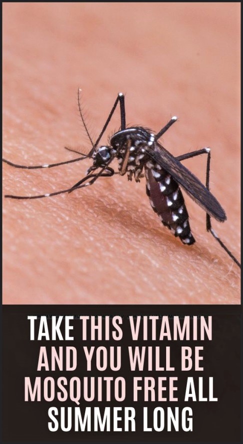 this-vitamin-will-keep-mosquitos-away-all-summer-long